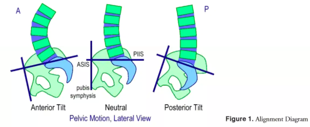 Katie's core tip of the week: Neutral Spine